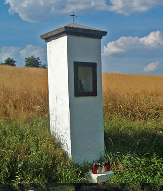 Obraz: swantoni.jpg Obraz: swantoni.jpg